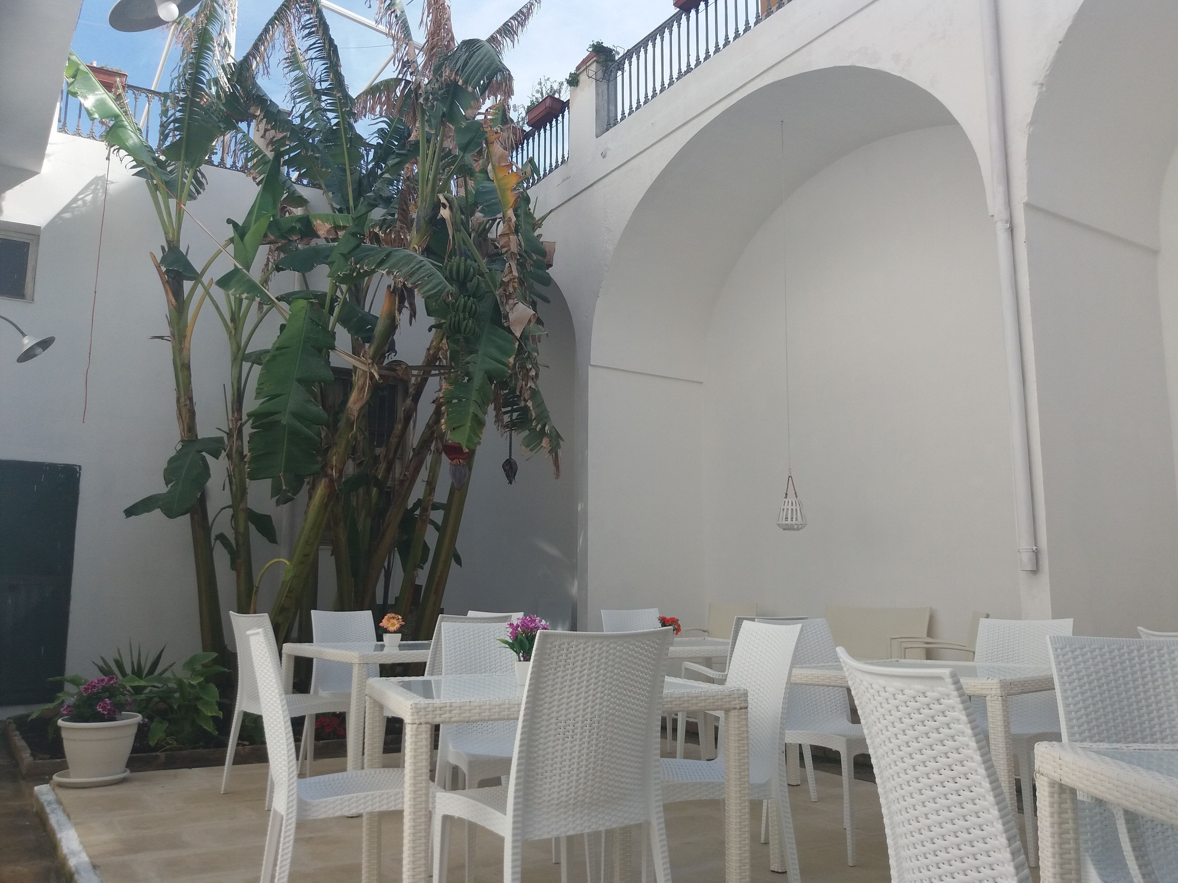 An outdoor patio with white wicker furniture, a large plant, and a white arched structure.