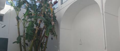 An outdoor patio with white wicker furniture, a large plant, and a white arched structure.