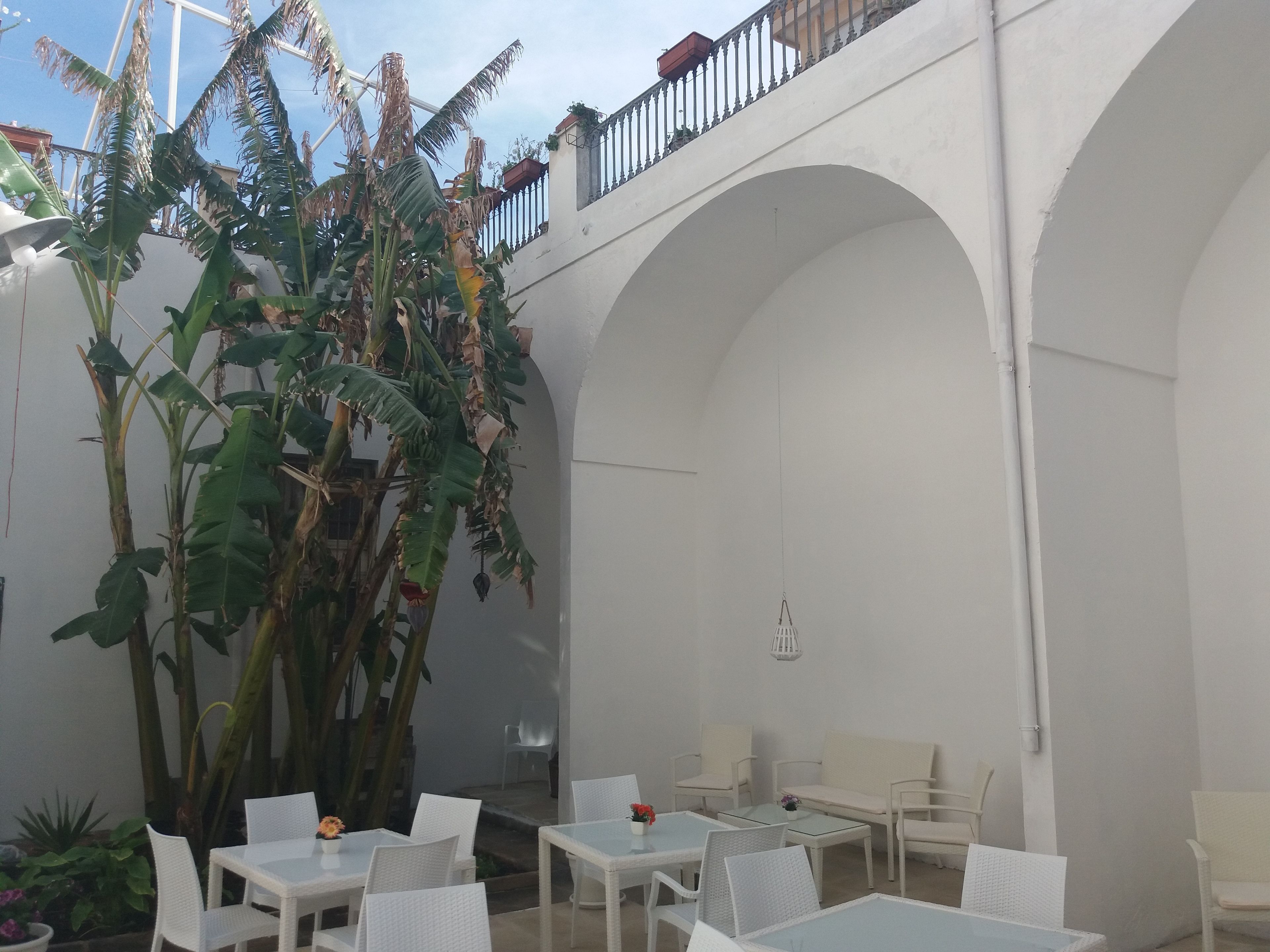 A spacious outdoor patio with white tables and chairs, surrounded by large banana plants and a white arched structure.