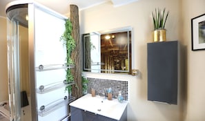 Une salle de bain avec une douche à parois de verre, un lavabo blanc avec un pare-éclaboussures carrelé, un miroir et une plante en pot.