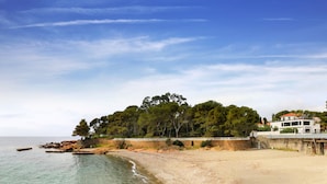 Une plage côtière avec un mur de pierres, des arbres et un bâtiment doté d’un toit rouge.
