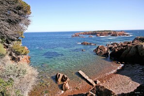 A coastal landscape with clear water, rocky shore, and vegetation.