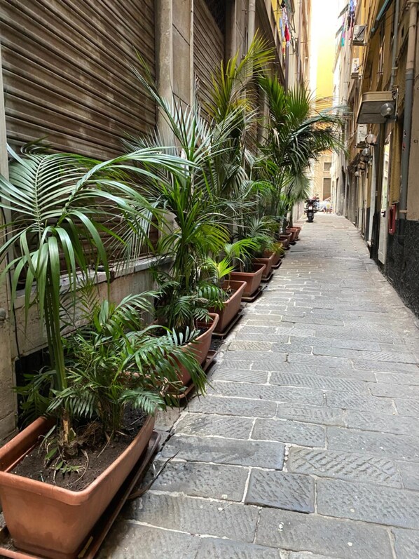 Property grounds - Hotel Veronese (Genoa)