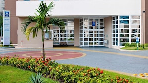 A modern hotel entrance with a palm tree, flower beds, and a wheelchair-accessible ramp. - ibis budget Sao Paulo Morumbi (São Paulo)