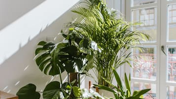 Detalhe da parte interna