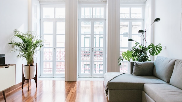 Ein geräumiges Wohnzimmer mit großem Fenster, einer Couch, einem Couchtisch und einer Topfpflanze.