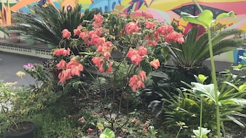 花園