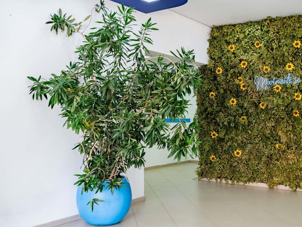 A large potted plant in a blue pot, a wall with a green leafy backdrop and sunflowers, and a sign with the word "Movimento". - ibis budget Piracicaba (Piracicaba)