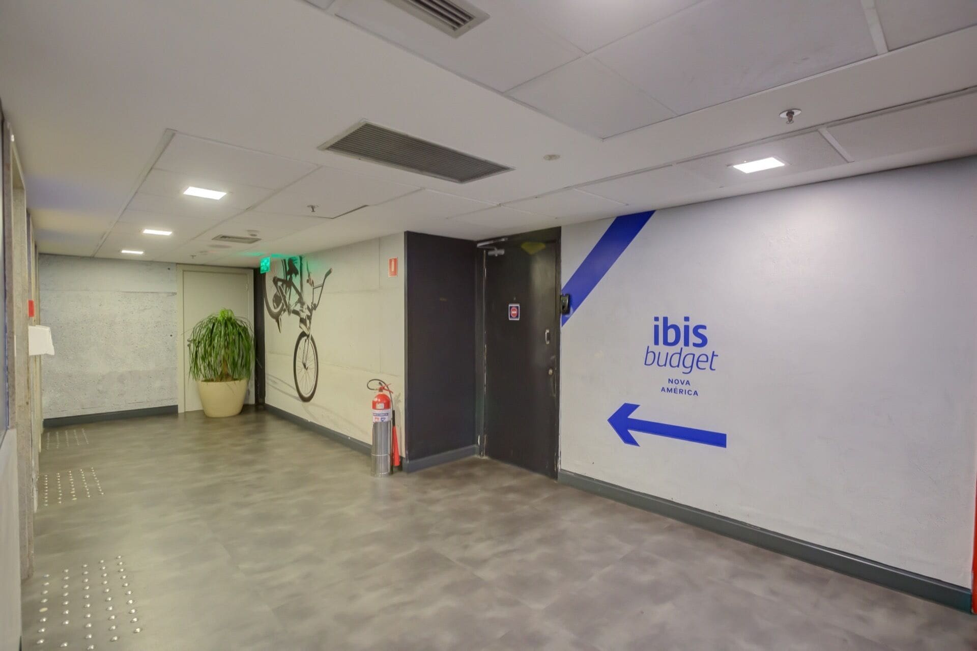 A hallway with a potted plant, a fire extinguisher, and a wall with 'ibis budget' signage.