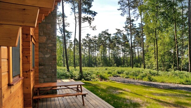 Une terrasse en bois avec une table de pique-nique, entourée d’une zone boisée avec de grands arbres et un mur de pierres.