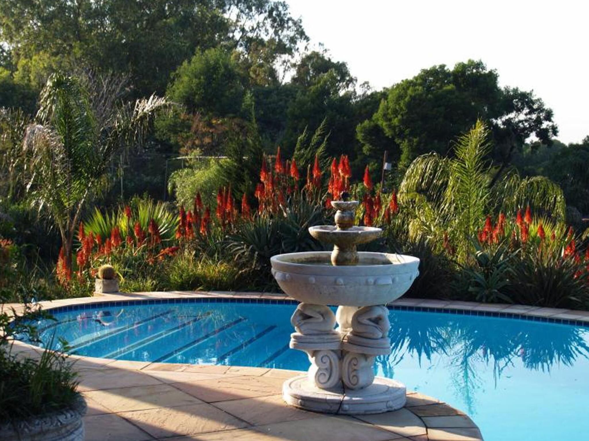 Outdoor pool, pool loungers