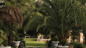 A garden pathway with a checkered pattern leading to a seating area surrounded by large potted plants and palm trees. - Tuareg Guest House (Midrand)