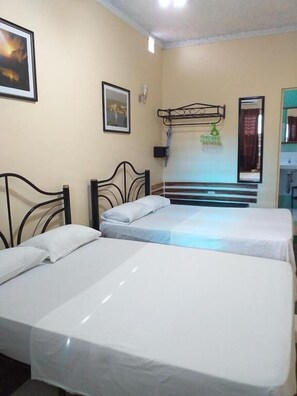 Minibar, iron/ironing board, bed sheets - Ivan y Lily (Cienfuegos)