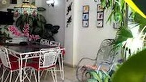 A dining area with a white table and chairs, surrounded by potted plants and wall art. - Dona Amalia (Cienfuegos)