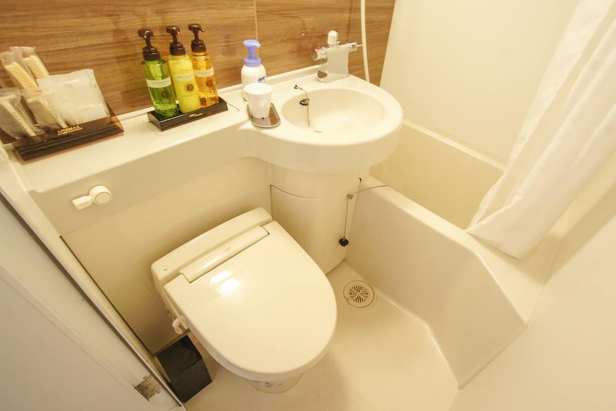 combined shower/bathtub, hair dryer, towels, shampoo