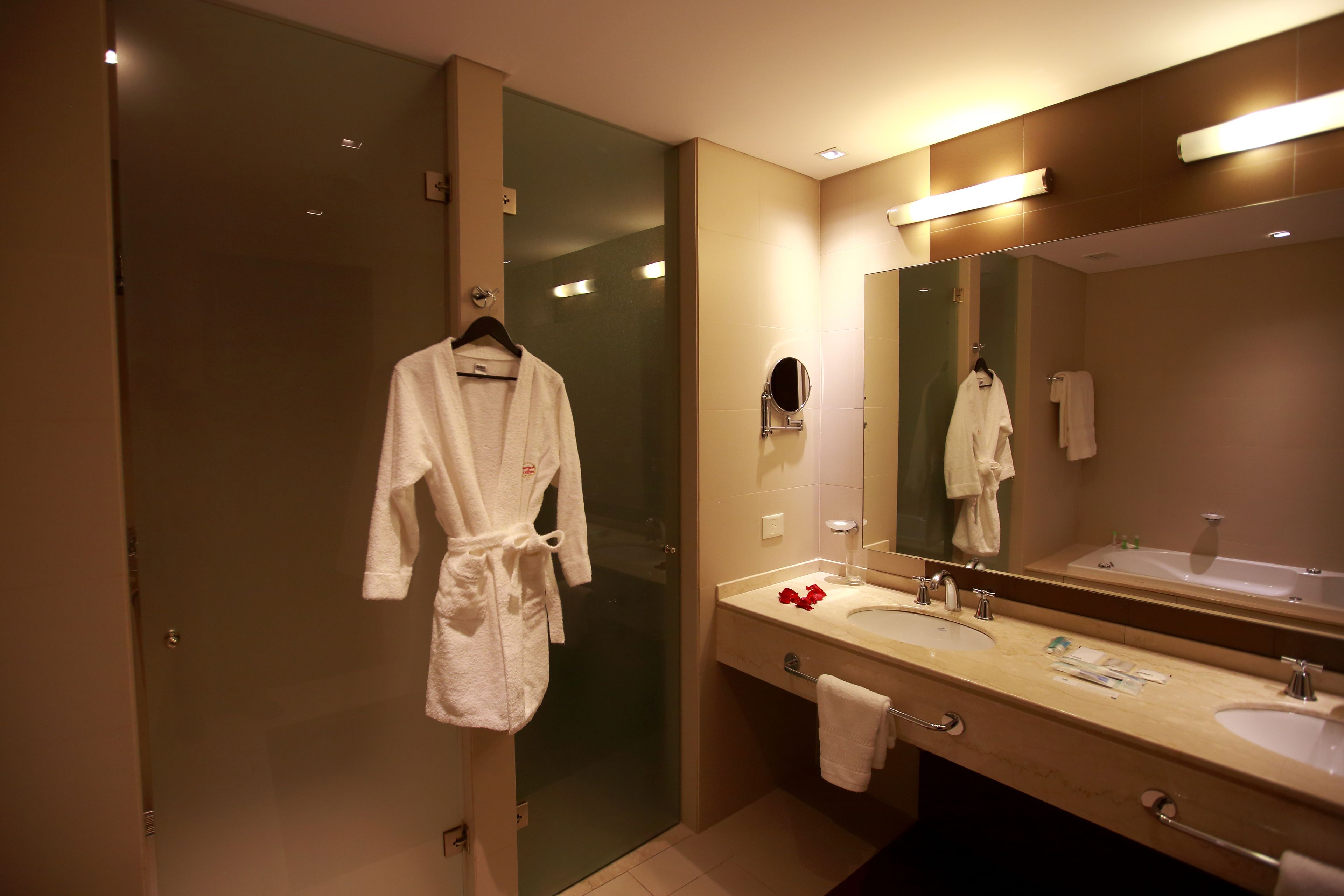 shower, free toiletries, hair dryer, bidet