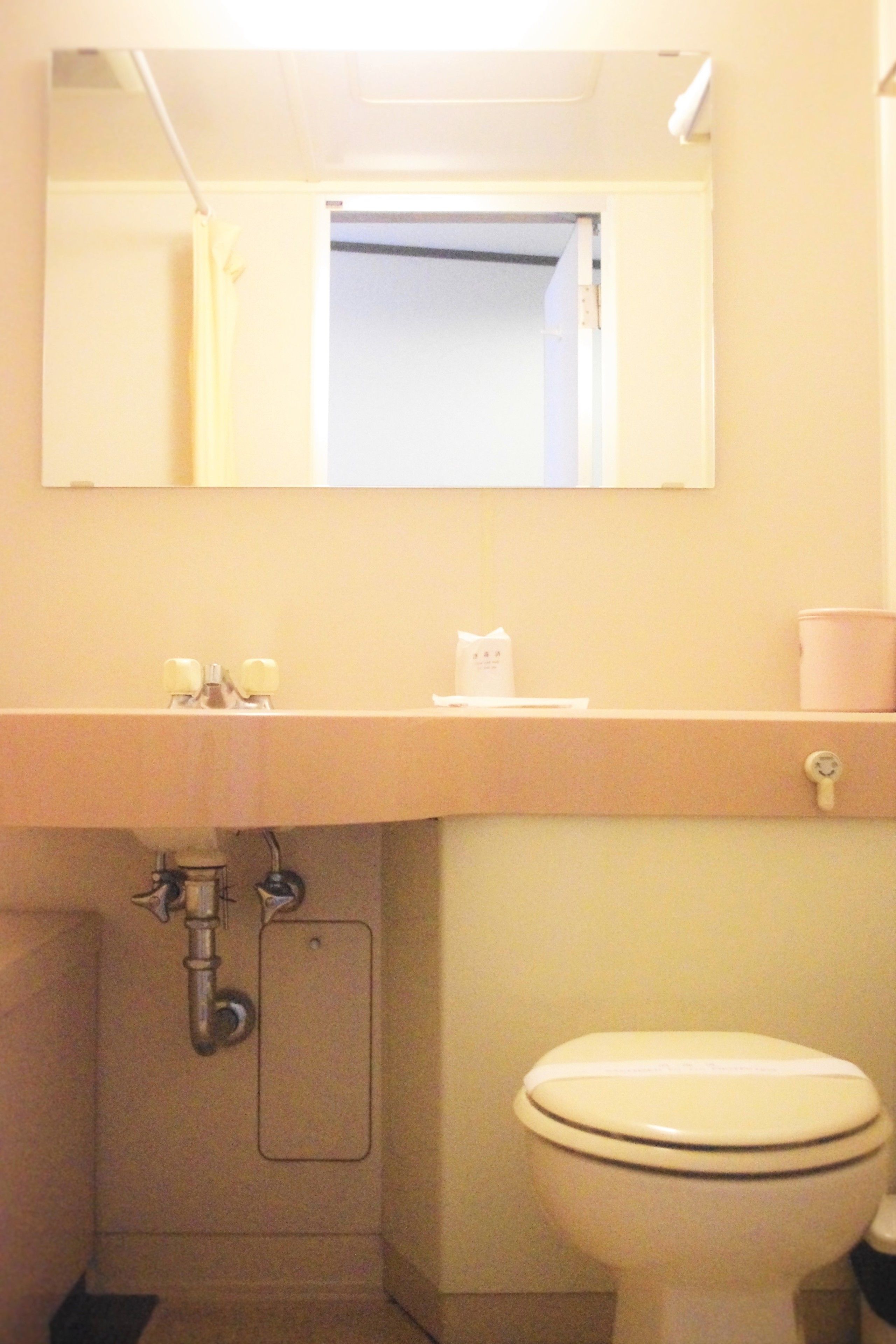 A bathroom with a toilet, sink, and mirror.