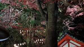 A traditional Japanese building with a red and white exterior, surrounded by trees and illuminated lanterns. - Vessel Inn Shiga Moriyama Station (Moriyama)