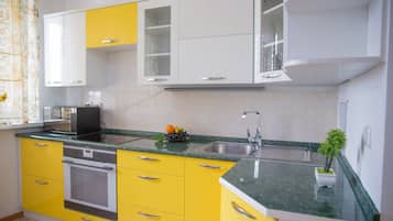 Apartment, 1 Bedroom (Rozibakieva 289/2, 77-09028) | Private kitchen | Fridge, microwave, oven, stovetop