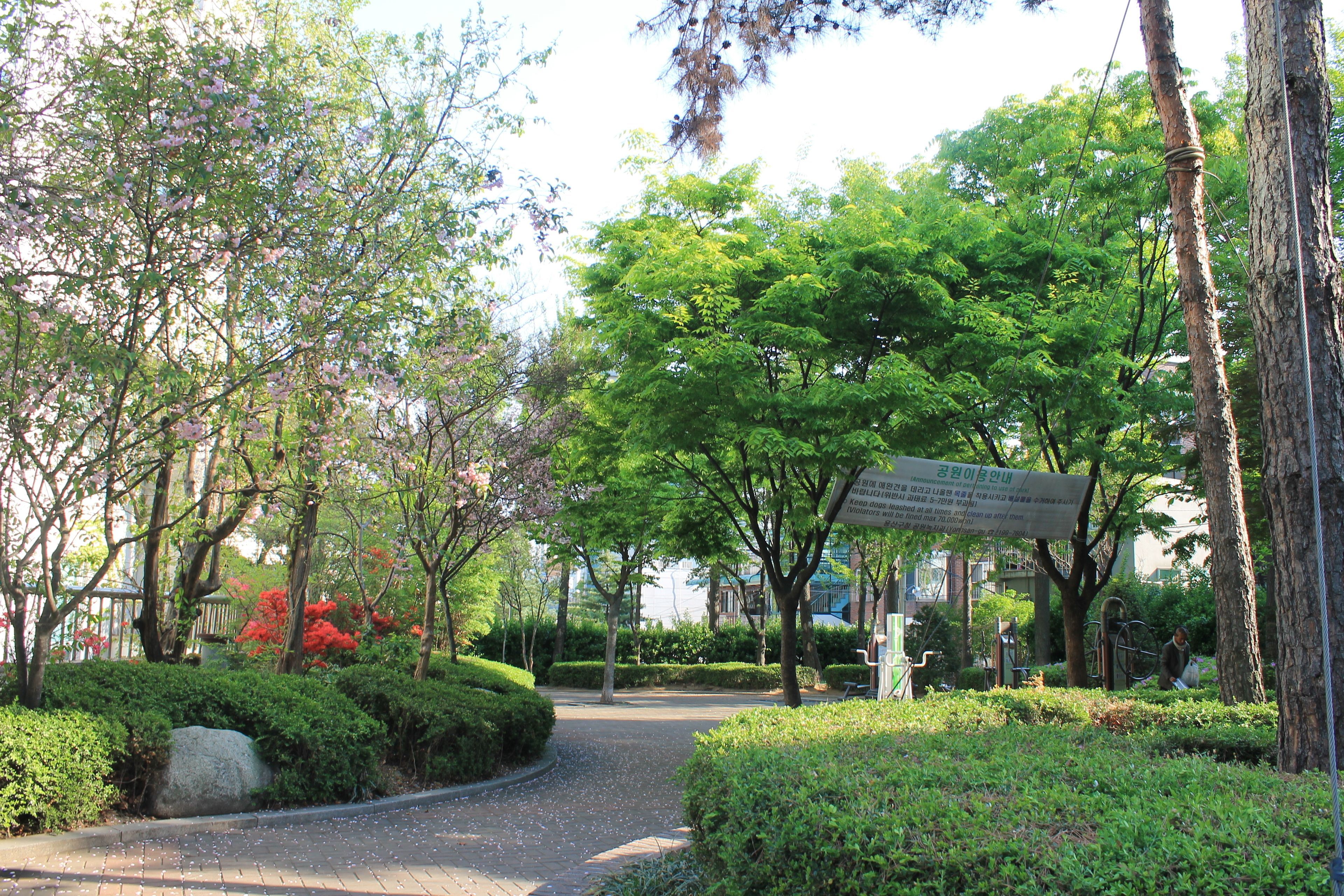 Photo - Seoul Station R Guesthouse