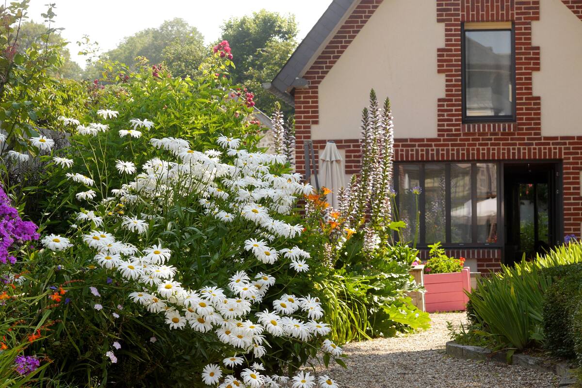Un jardín con flores blancas y una casa de ladrillo.