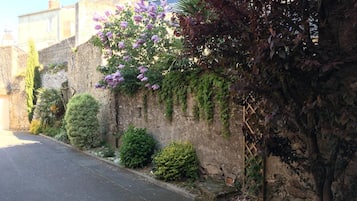 Una calle estrecha con un muro de piedra, un pequeño árbol y un arbusto.