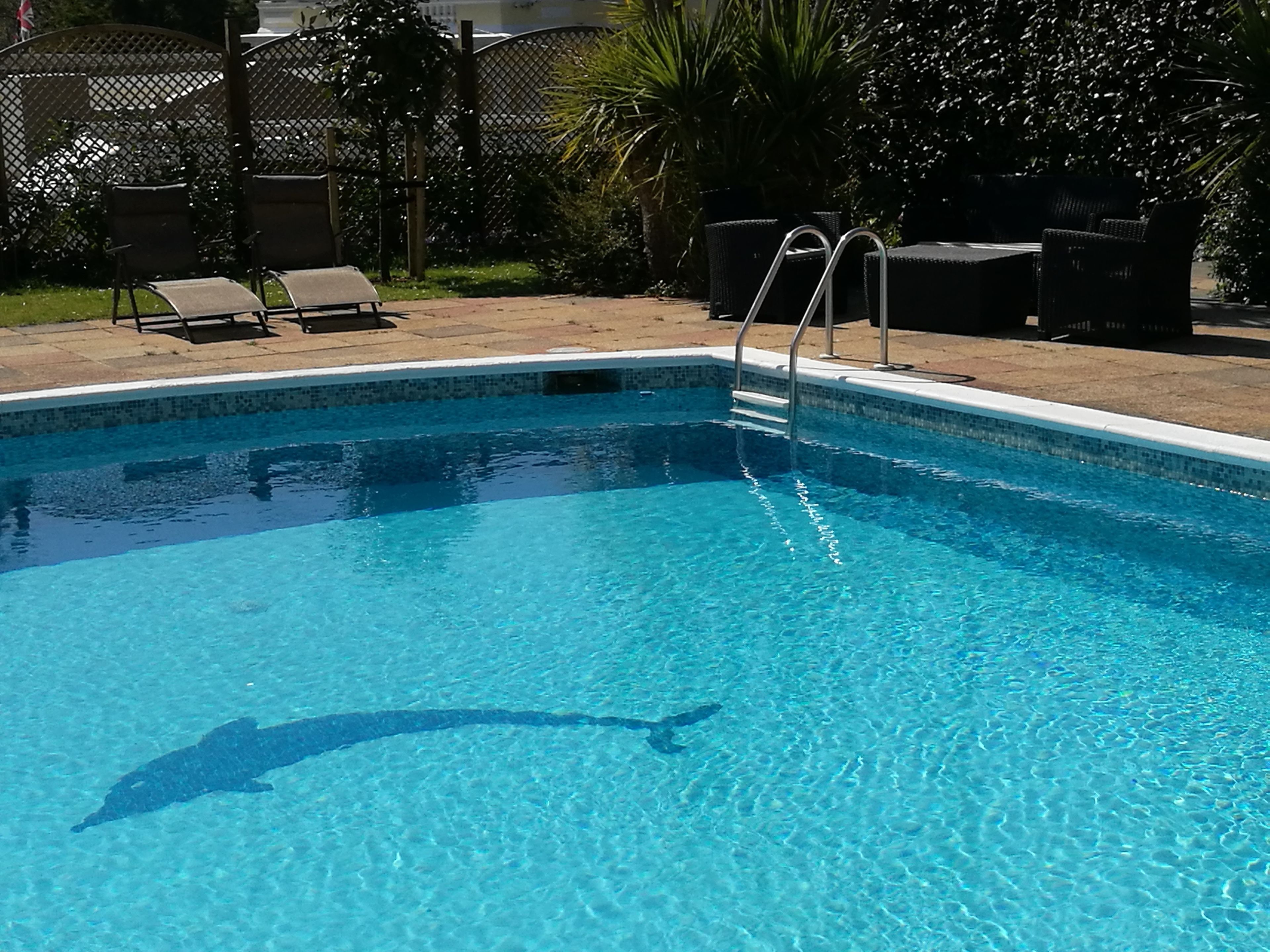 A clear blue pool with a ladder, surrounded by outdoor furniture and greenery.