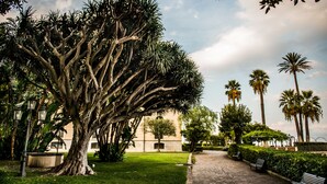 A paved pathway, benches, and a large tree in a landscaped area with palm trees and a building in the background. - Villa Pulejo (Messina)