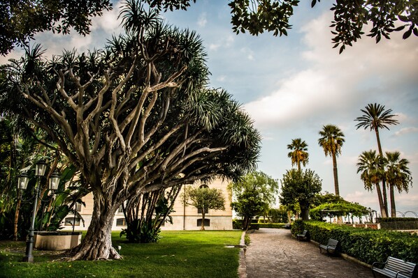 Un chemin pavé, des bancs et un grand arbre dans un espace aménagé, agrémenté de palmiers et avec un bâtiment en arrière-plan.