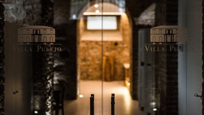 An interior corridor with a brick wall and a wooden door. - Villa Pulejo (Messina)