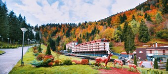 萨尔米度假村
