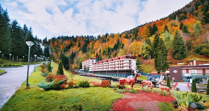 Sairme Resort
