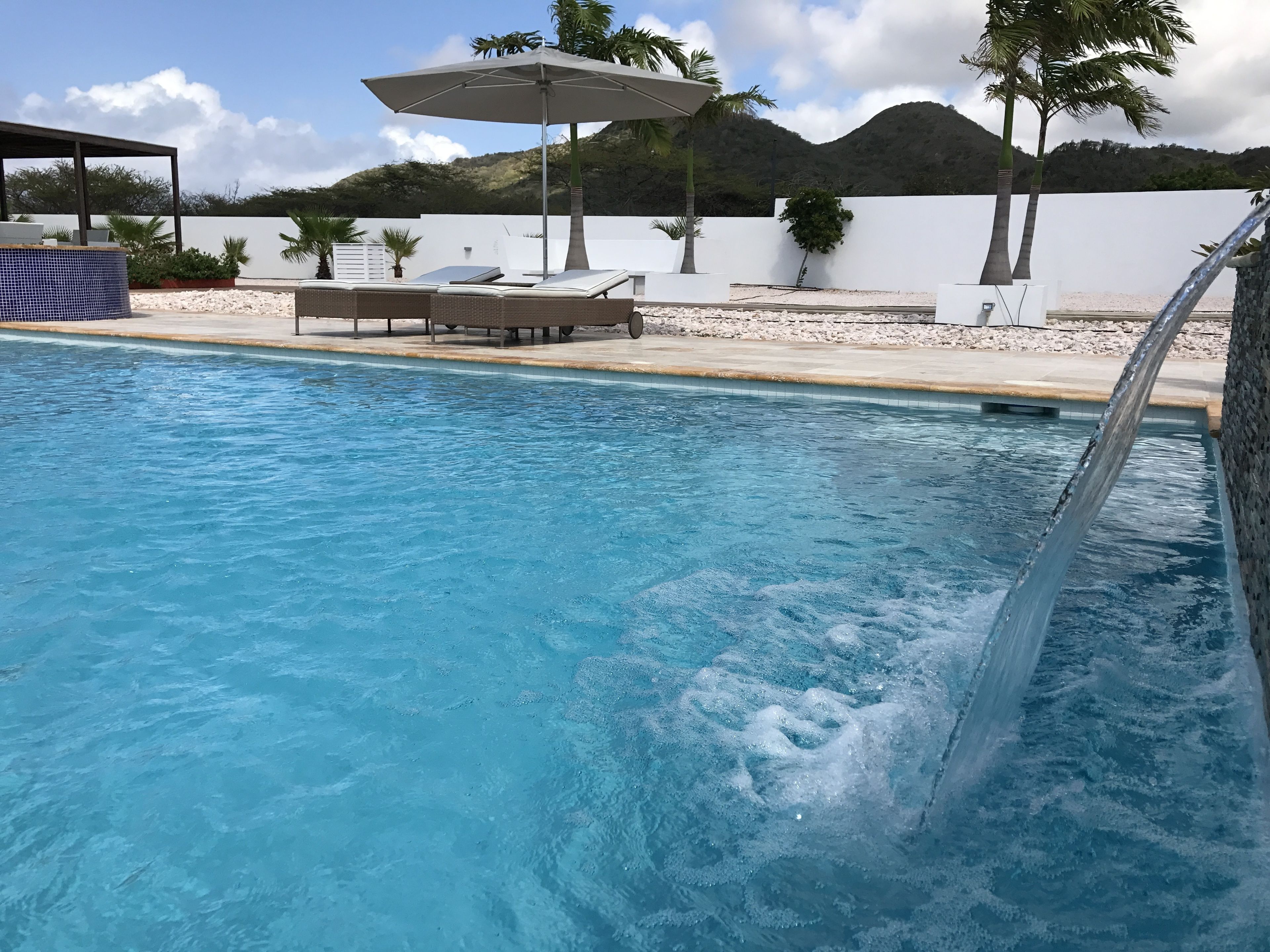 Une piscine entourée d’un mur blanc et de palmiers, avec des chaises longues et des parasols.
