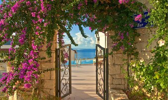 Kolam renang outdoor, dengan payung kolam renang dan kursi berjemur