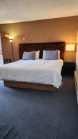 Deluxe Single Room, 1 King Bed | Desk, free WiFi, bed sheets