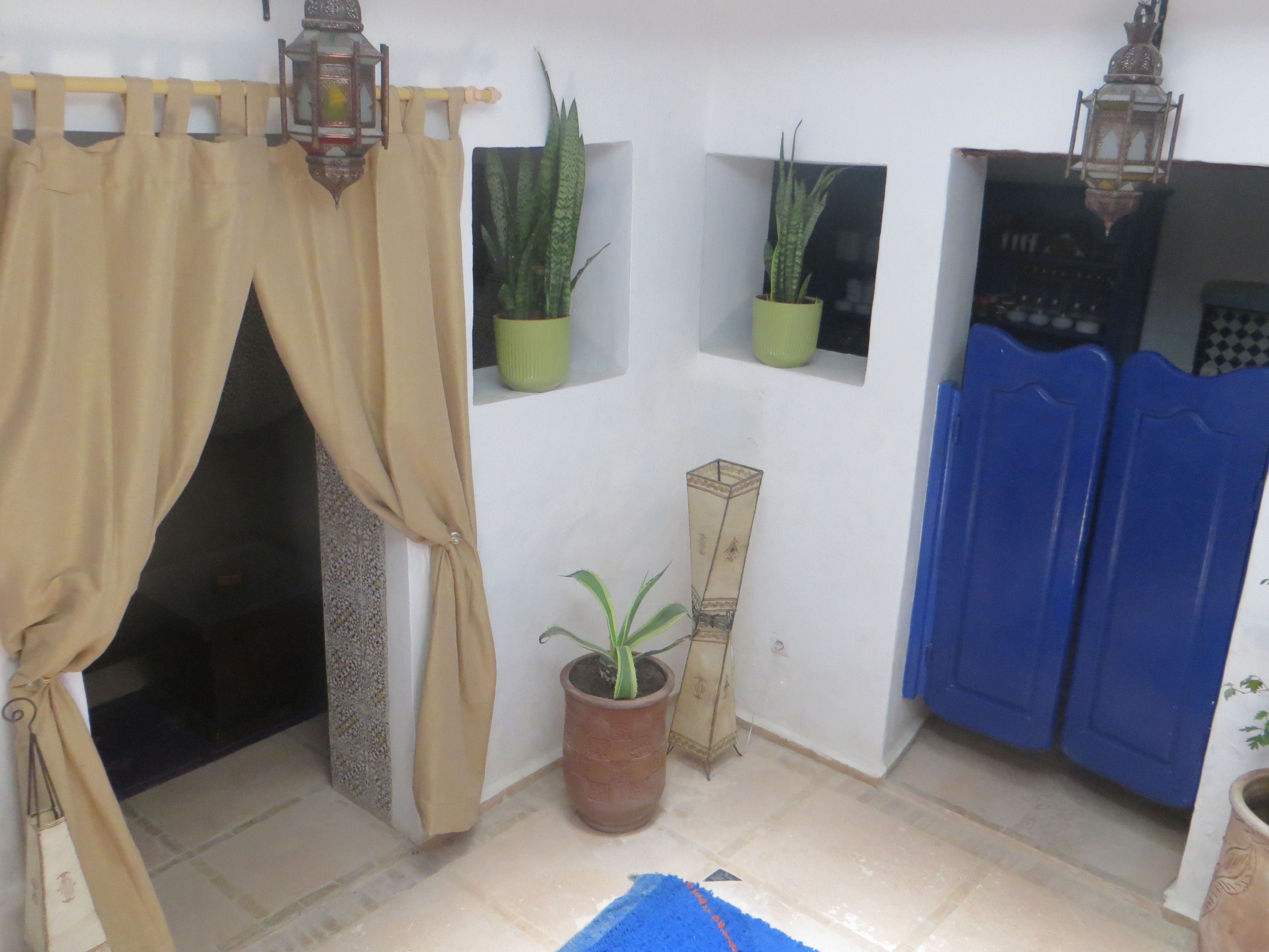 A room with a beige curtain, a potted plant, a blue door, and a small window.