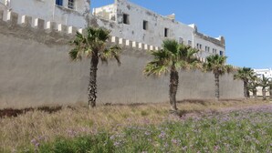 A building with a white facade and blue shutters, surrounded by palm trees and purple flowers. - Riad Gloria (Essaouira)