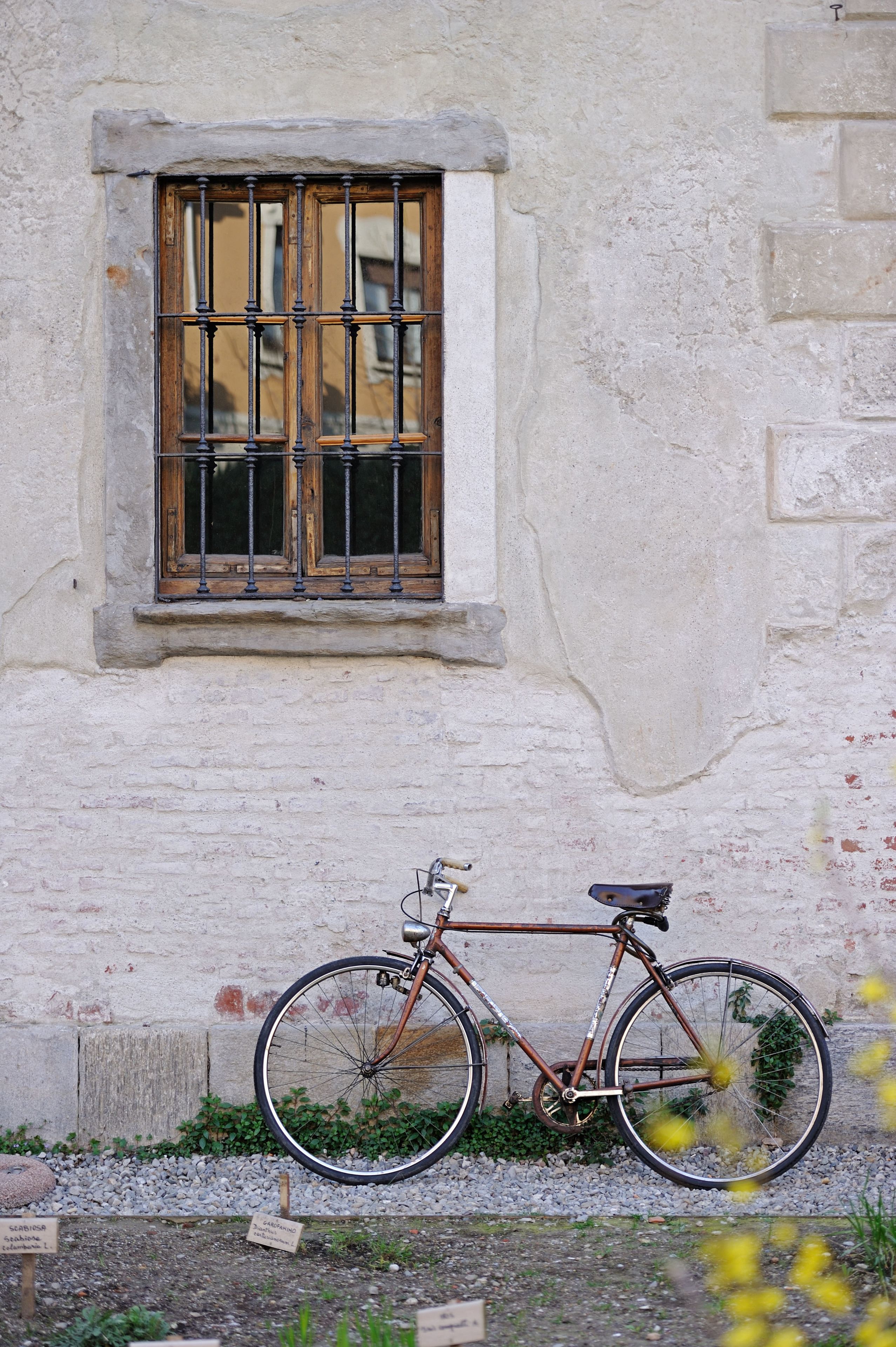 Photo - Un posto a Milano - guesthouse all'interno di una cascina del 700
