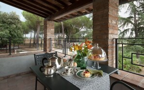Terras