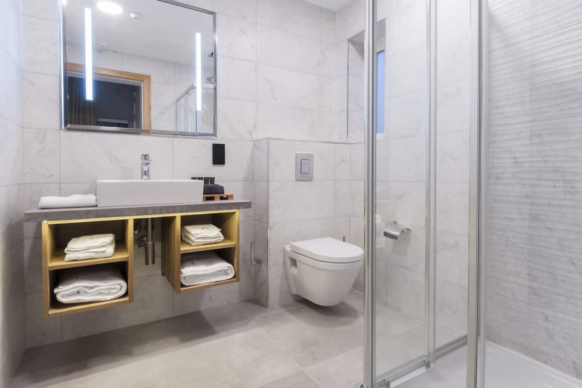 shower, free toiletries, hair dryer, towels