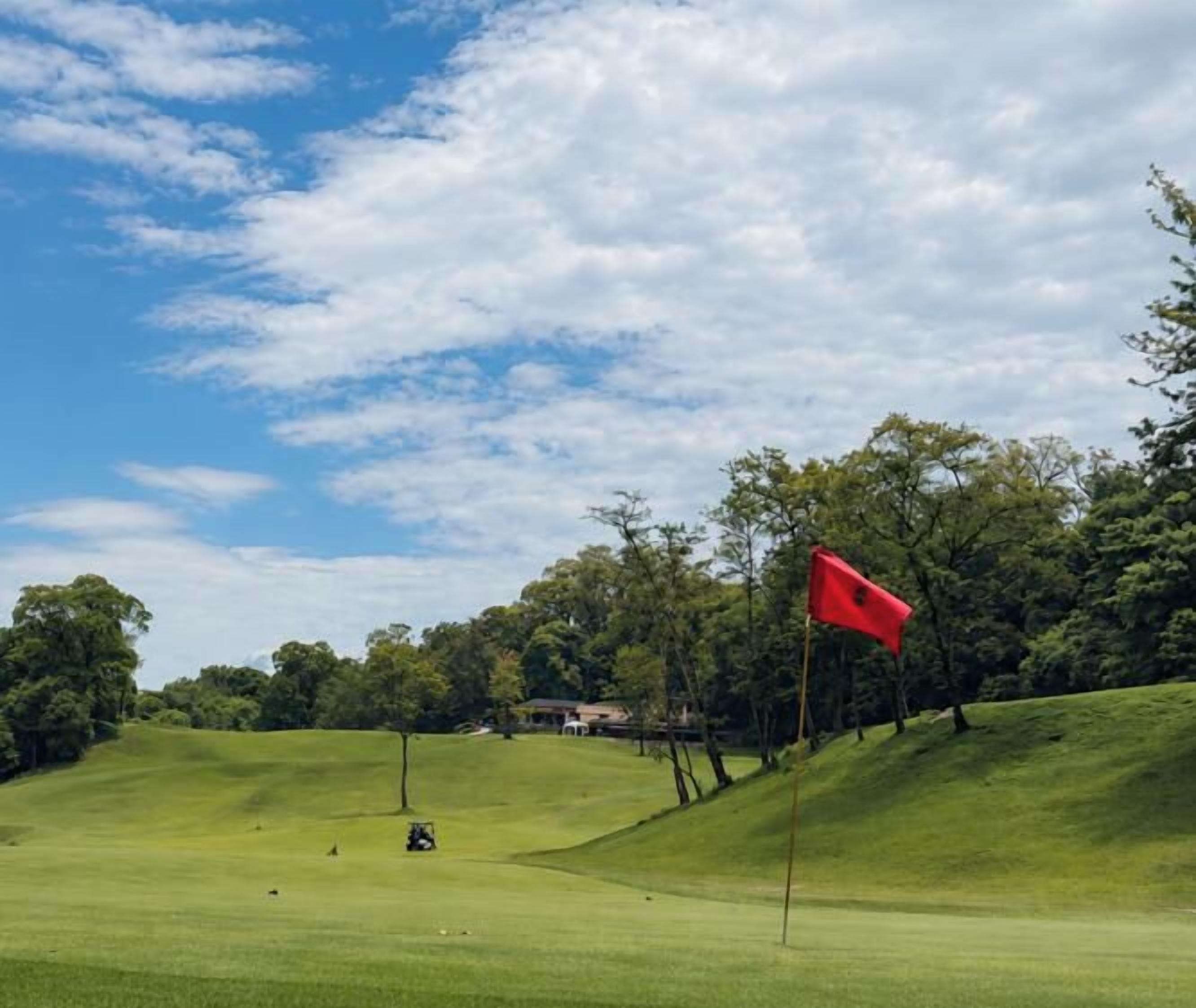 Golfvogn