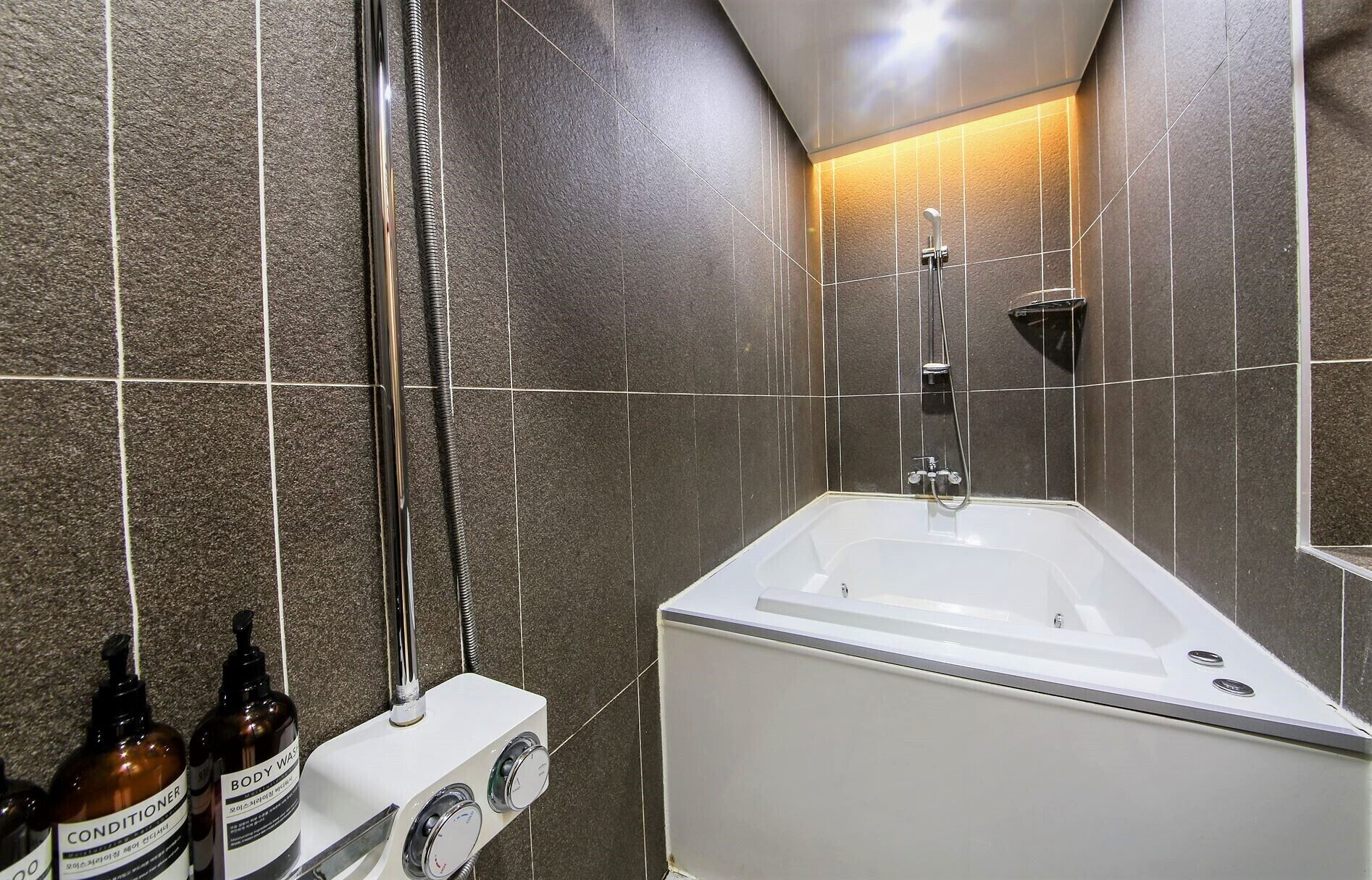 A bathroom with a bathtub, a handheld showerhead, and two bottles of body wash.