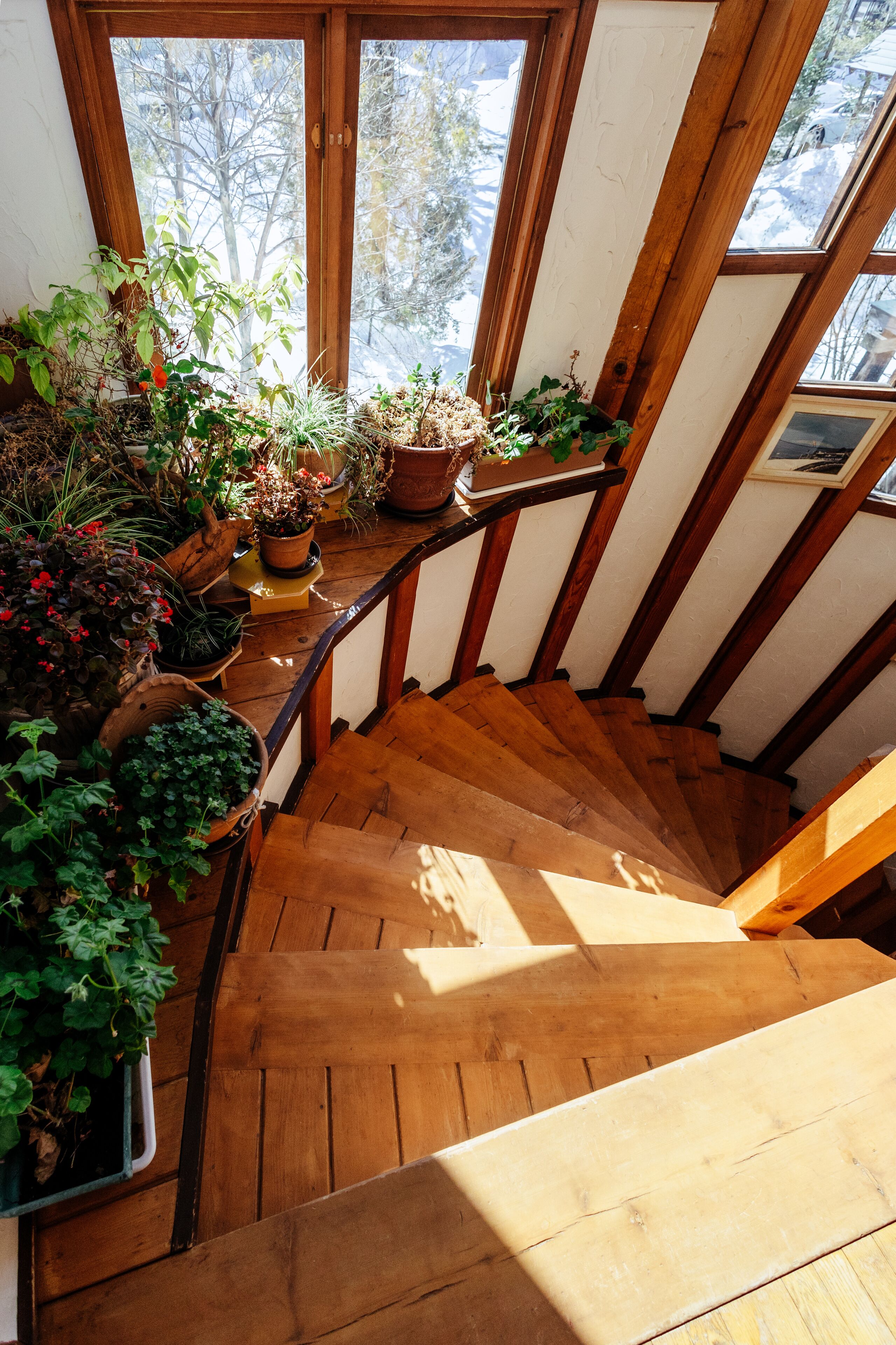 A wooden staircase with potted plants on the landing.