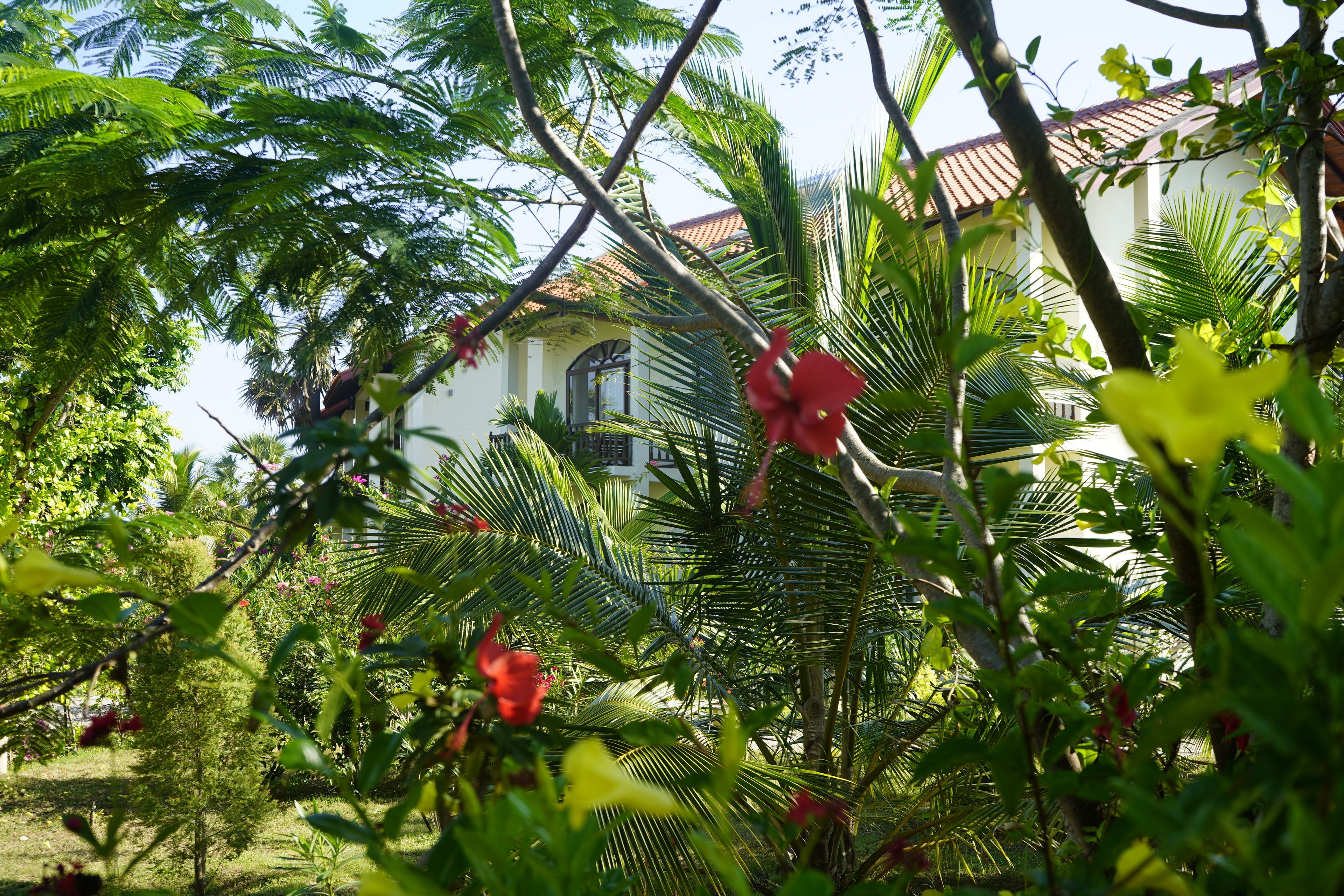 Ulkopuoli