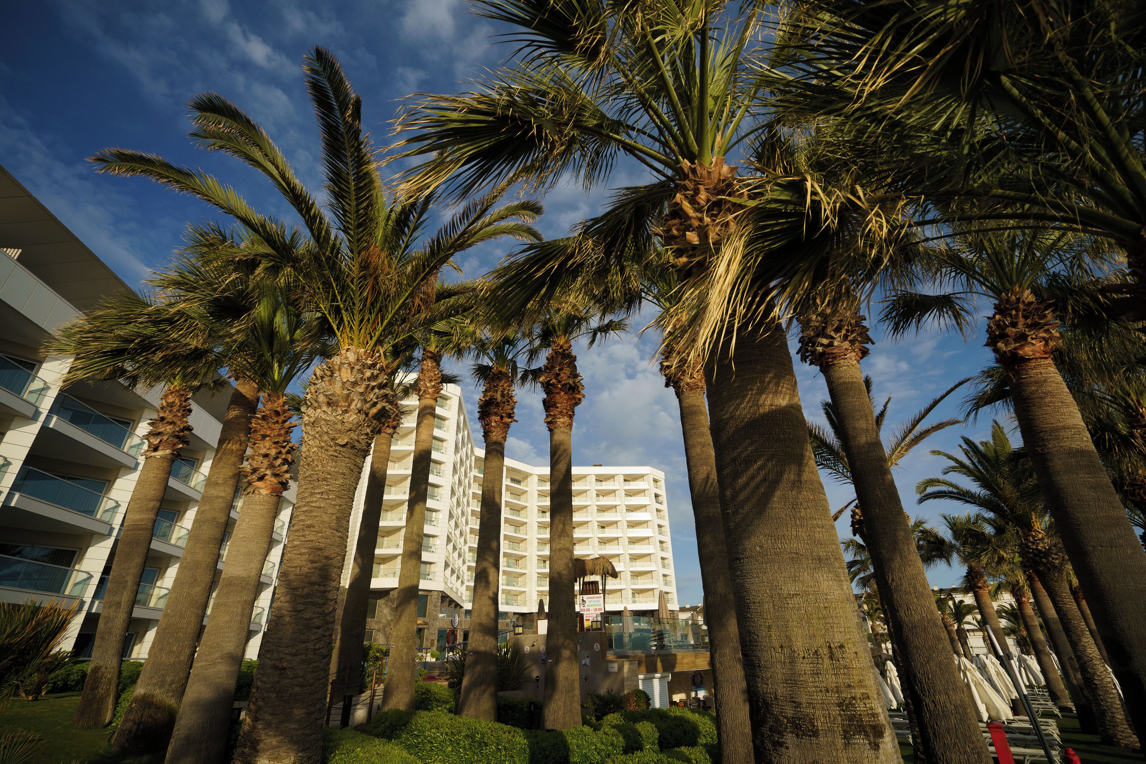 standard double or twin room, garden view | 1 bedroom, minibar, in-room safe, free wifi