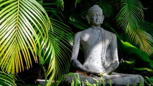 Una estatua de Buda de piedra en un entorno verde y exuberante.
