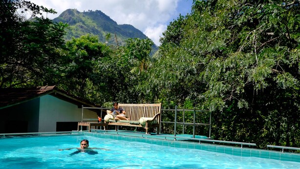 Una piscina con una persona nadando, rodeada de abundante vegetación y una montaña al fondo.