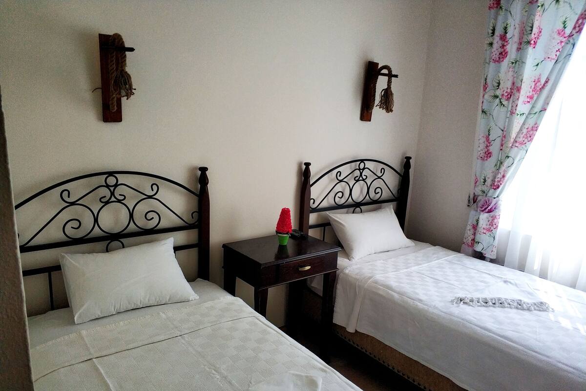 Standard Room, 2 Single Beds