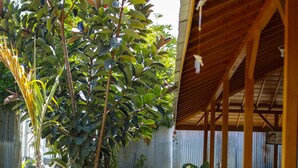 A covered outdoor area with a concrete pathway, potted plants, and a wooden structure. - Pavilla Labuan Bajo (Labuan Bajo)