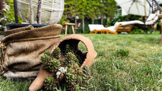 A garden setting with a burlap sack, a terracotta pot with succulents, and a white umbrella in the background. - Cunda Eren Otel (Ayvalik)